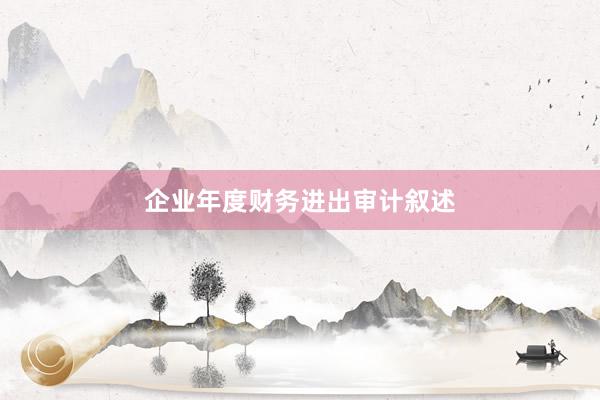 企业年度财务进出审计叙述
