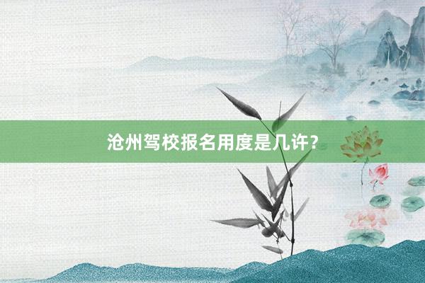 沧州驾校报名用度是几许？
