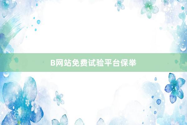 B网站免费试验平台保举