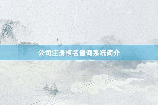 公司注册核名查询系统简介